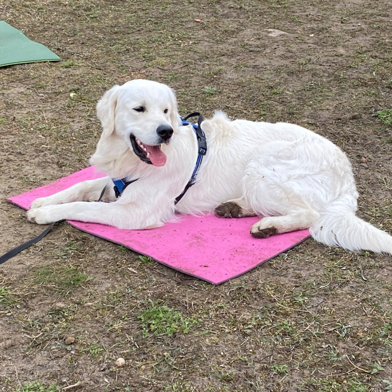 Dranbleiber Erziehung