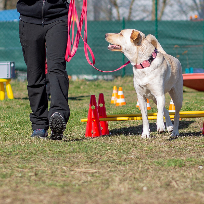 Trainingsgruppe mit Janine - Montags 17.15 Uhr
