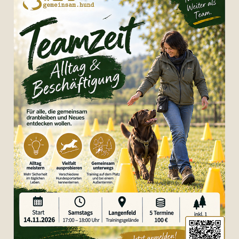 Langenfeld | Teamzeit Beschäftigung & Alltag