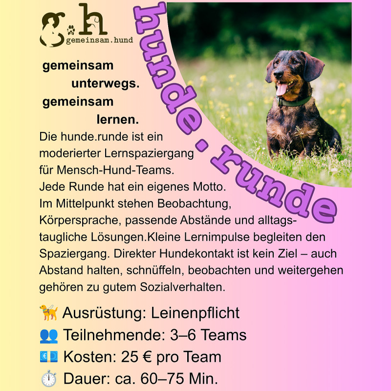 hunde.runde - bis Oktober 2026