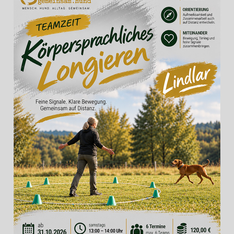 Lindlar | Teamzeit Körpersprachliches Longieren