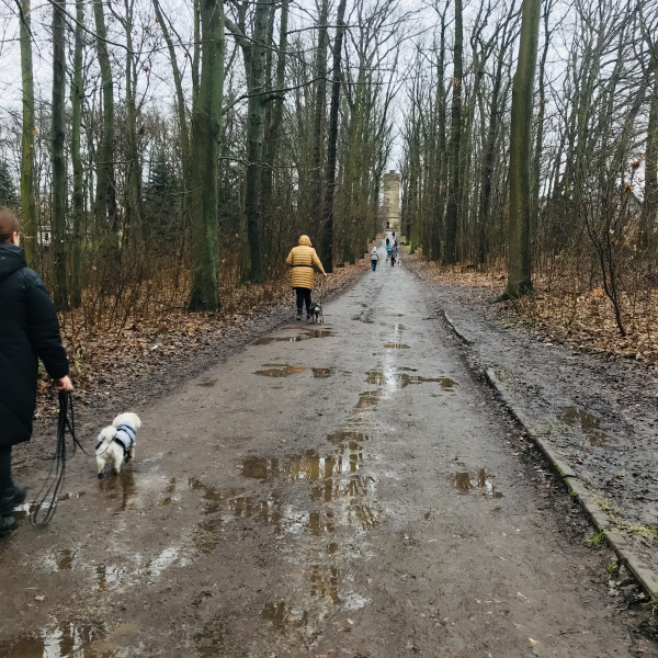 Gemeinsames Entdecken