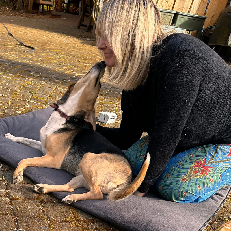 Erste Hilfe beim Hund
