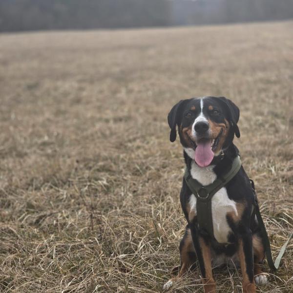 CrissCross - Alltagsthemen im Fokus