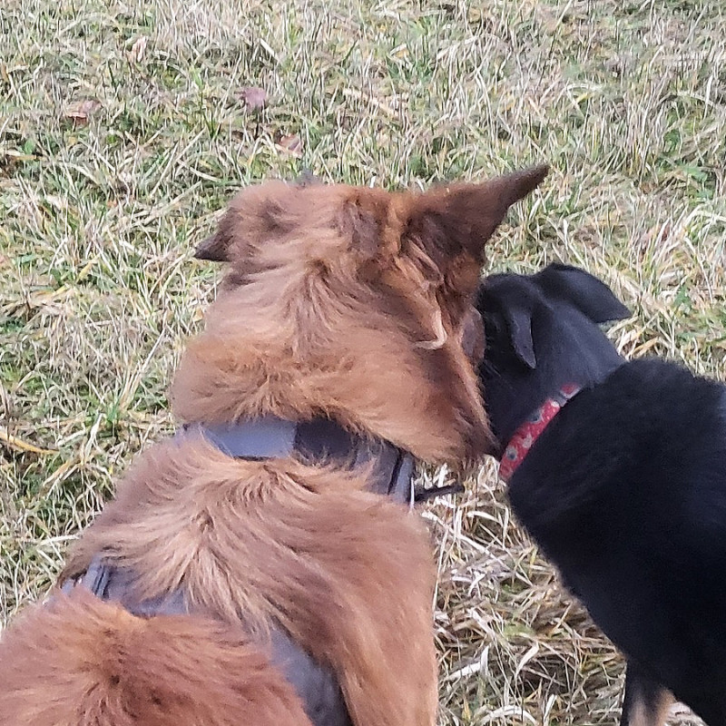 Intensiv Begegnungscoaching  mit 2 Teams