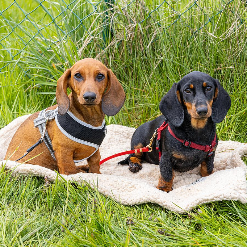 Ausflug in den Wildpark Hundshaupten