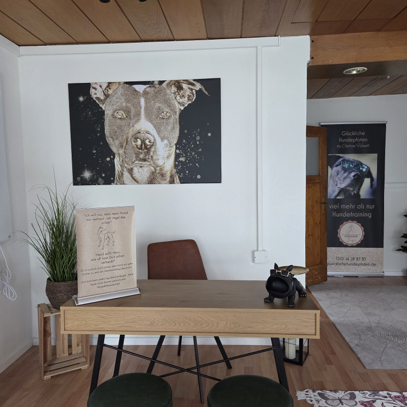 Stress beim Hund und seine Auswirkungen auf das Verhalten