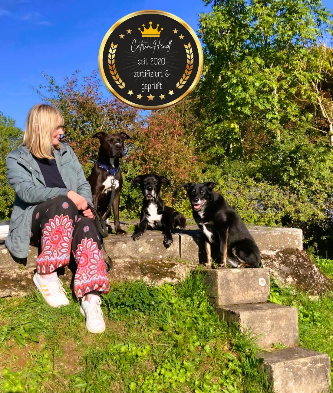 Ganzheitliches Hund-Mensch Coaching - Viel mehr als Hundetraining