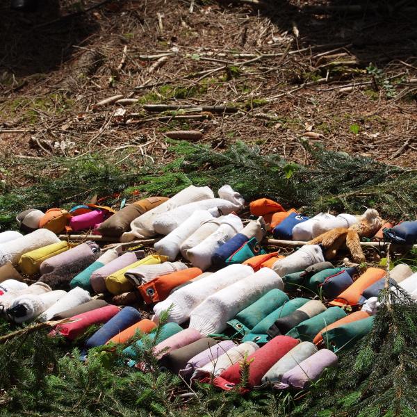 Golden Dummy - Übungsgruppe