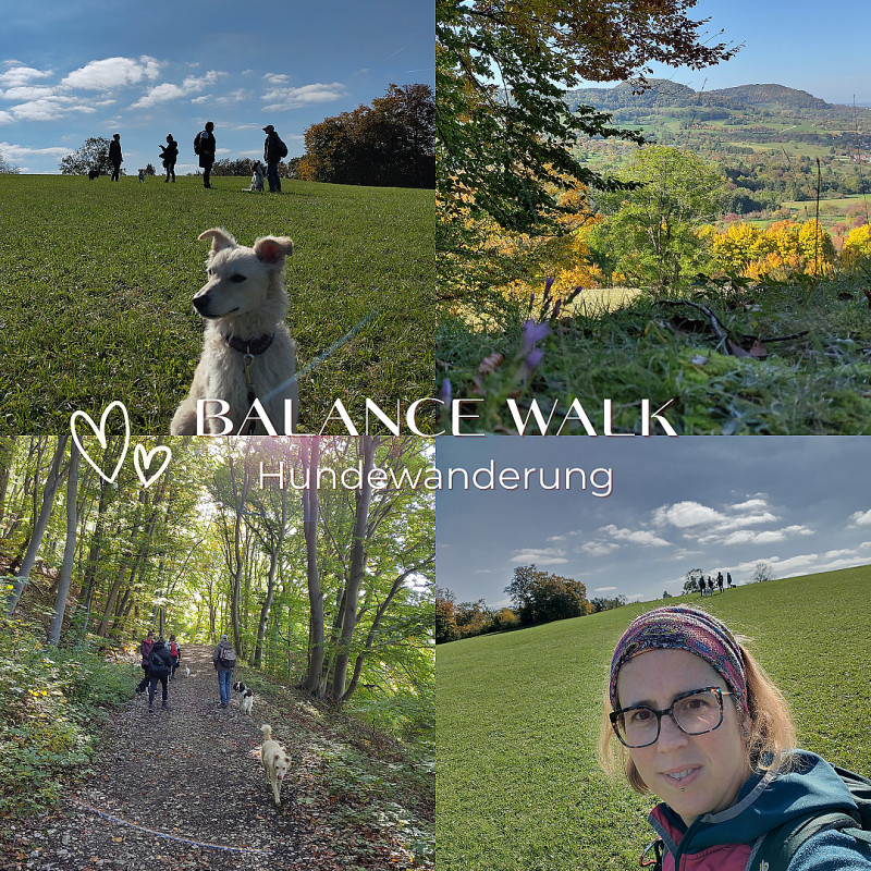 Balance Walk – LIGHT – achtsame Hundewanderung