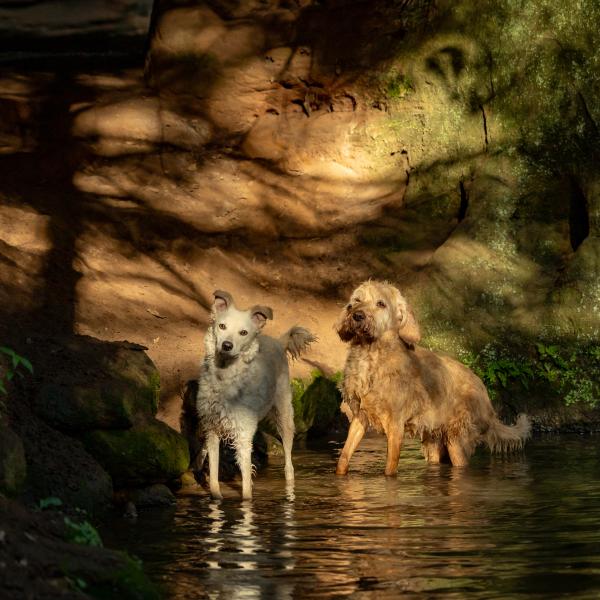 Goldene Momente I – Basiskurs