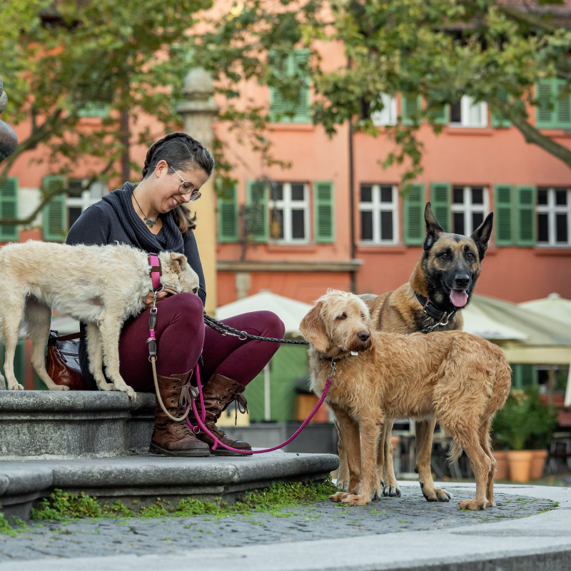 Stadt-Land-Fluss I – Kompaktkurs