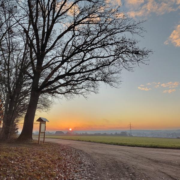 Goldene Zeit Fest - Neustart und Jubiläum