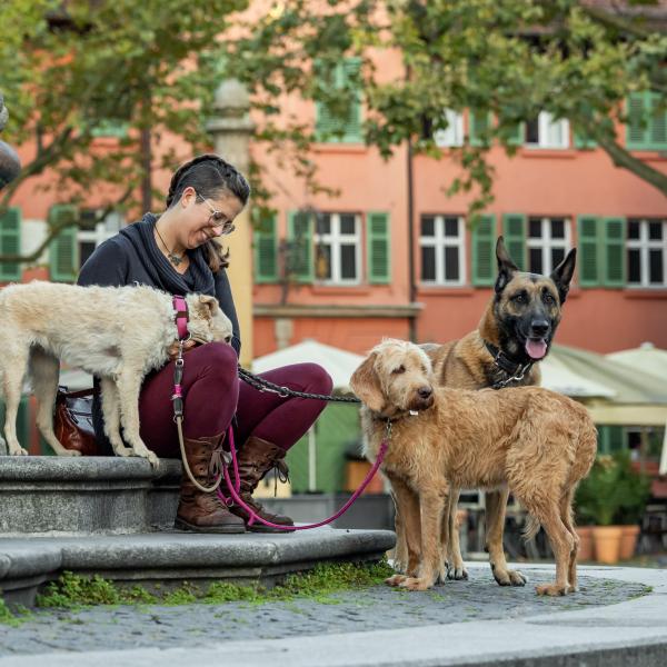 Stadt-Land-Fluss I – Kompaktkurs