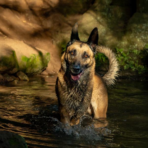 Fluss - Übungsgruppe