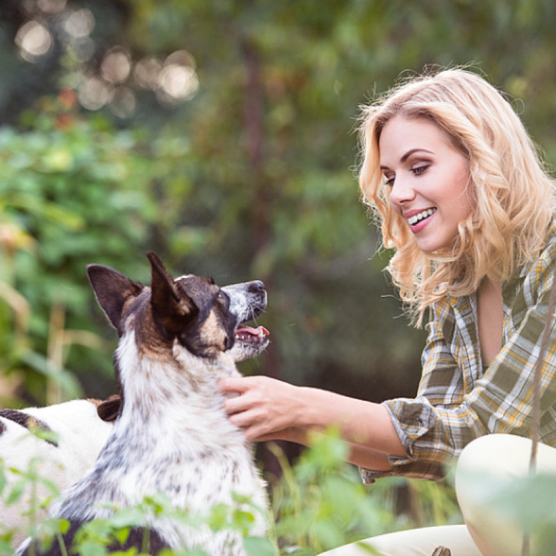 Starke Beziehung - starkes Team - Onlinekurs