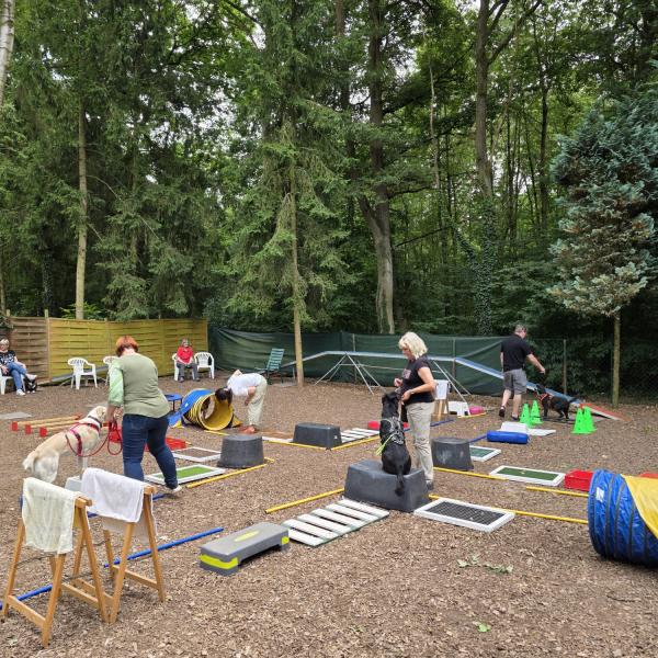 Hundestunde Kunterbunt Samstag 12 Uhr