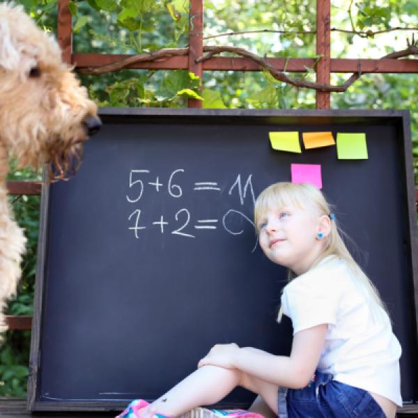 TGI-Ausbildung Lehrgang 03/2026