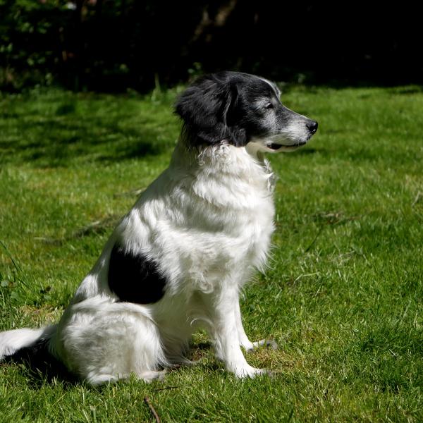 Gemeinsam unterwegs 1 - Sicher positionieren