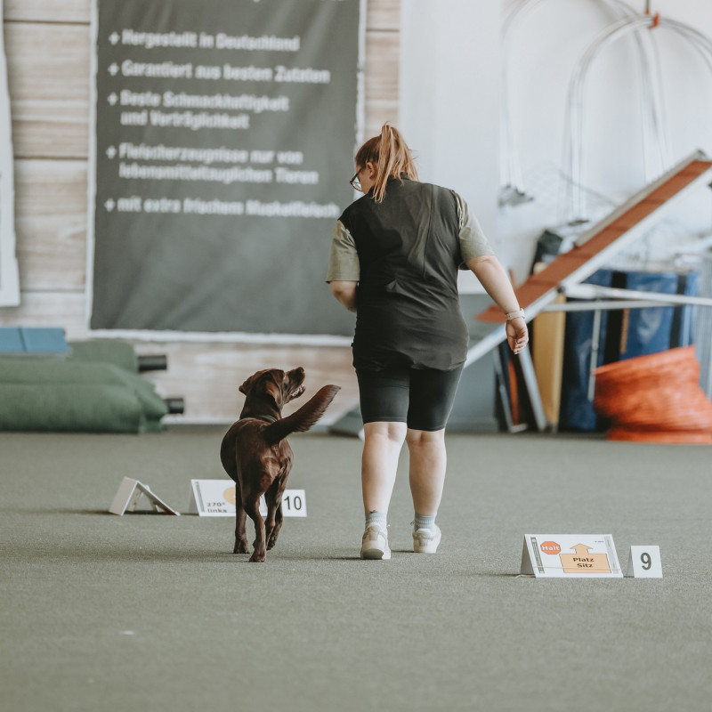 Rally Obedience Anfänger Kurs