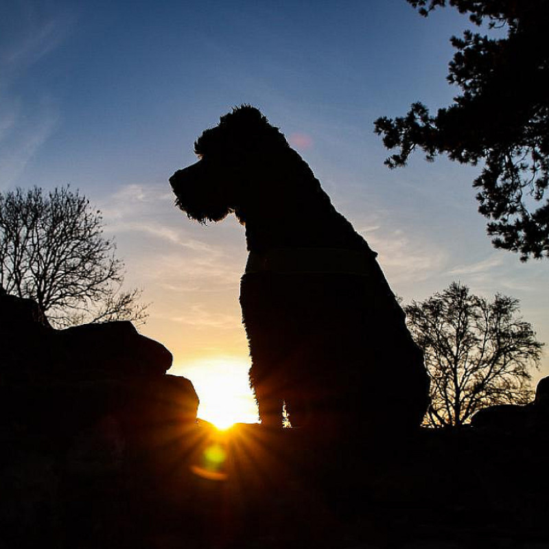 Trainingsspaziergang in der Abenddämmerung