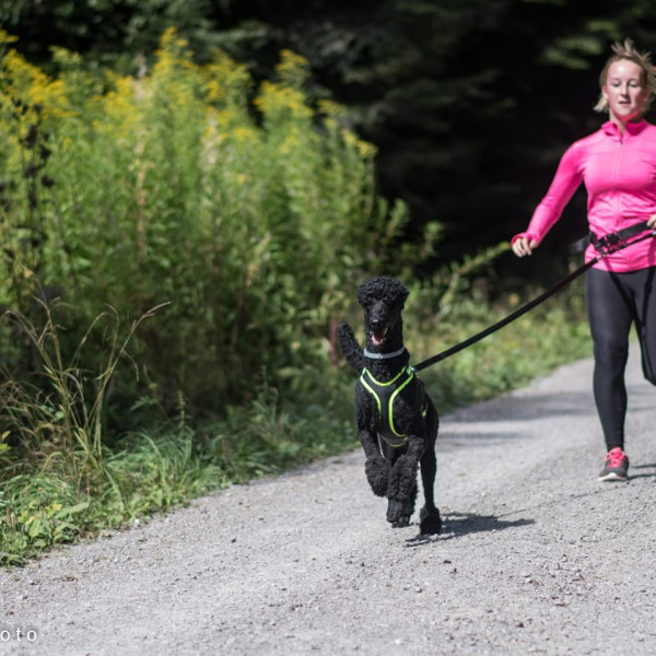 Laufen und Wandern mit Hund als Zughilfe