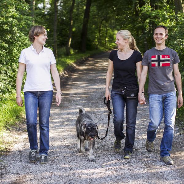 Hilfe, mein Hund zerrt!