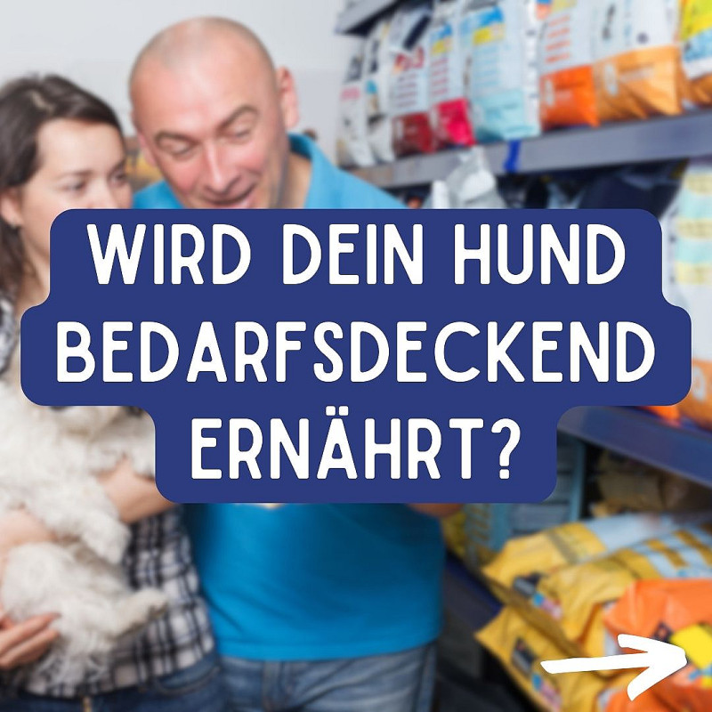 Alpenwuff Futterstunde