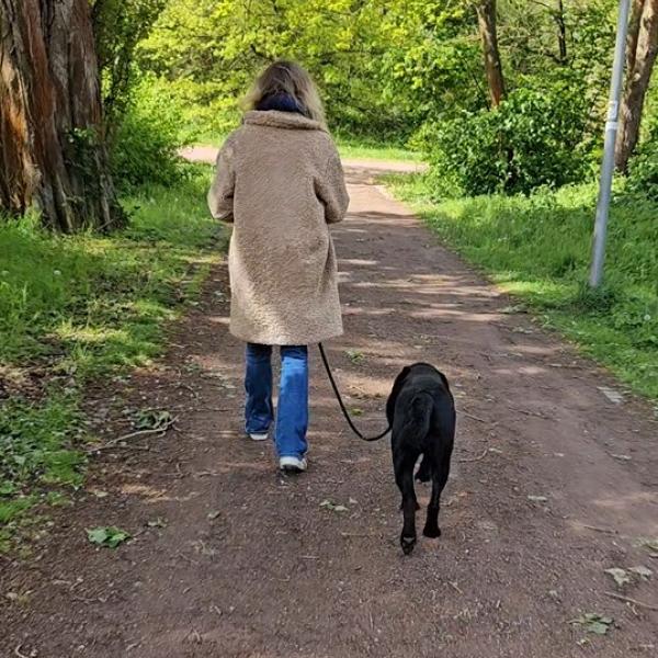 Heiner`s Stadtschnüre