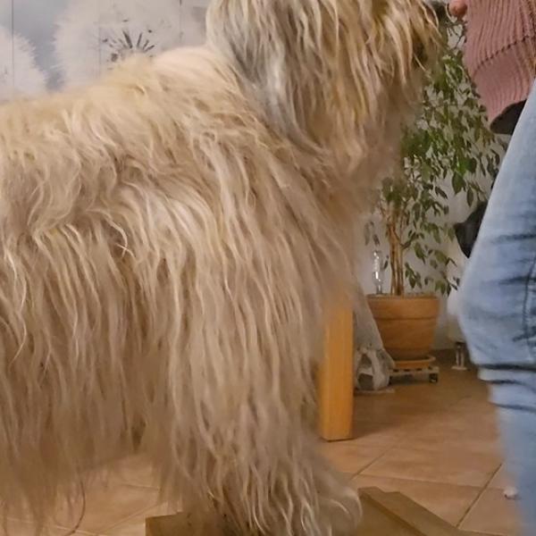 Heiner`s Pfotengymnastik