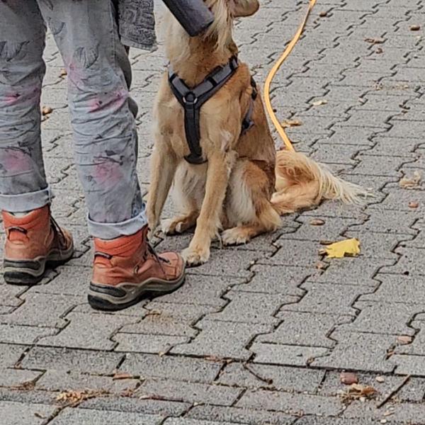 Heiner's Stadtjäger Treffen - für Kursteilnehmer