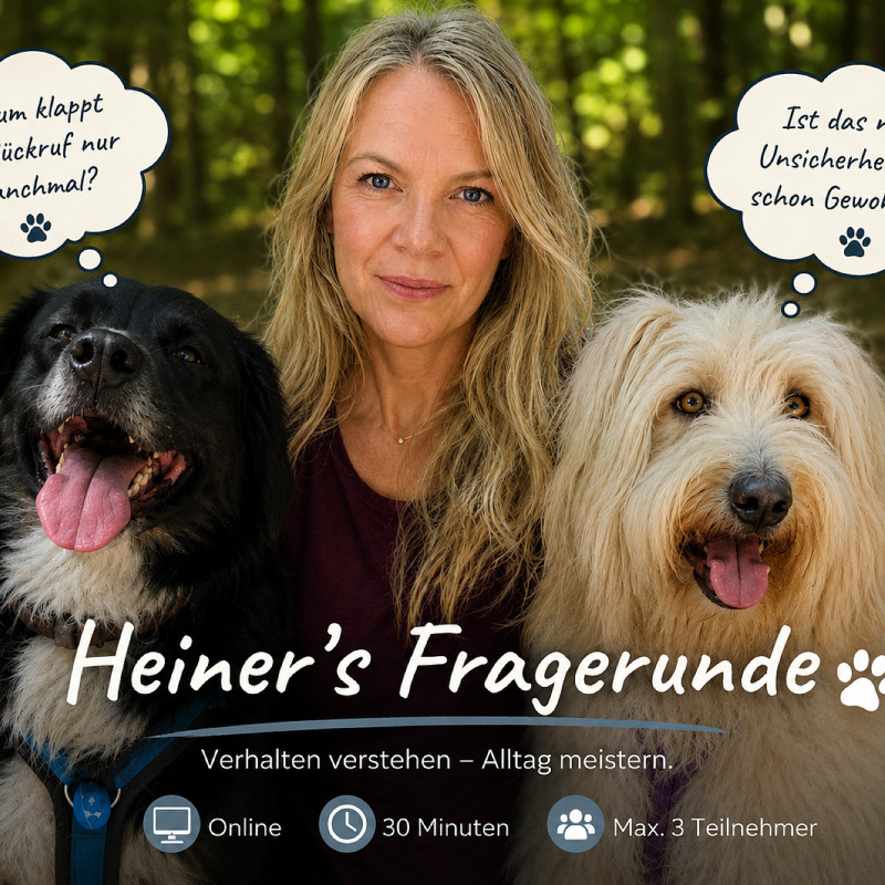 Heiner's Fragerunde