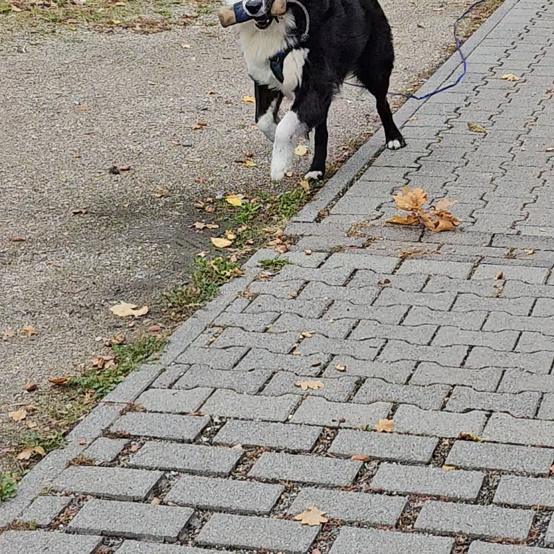 Heiner's Stadtjäger Schnupperwochenende