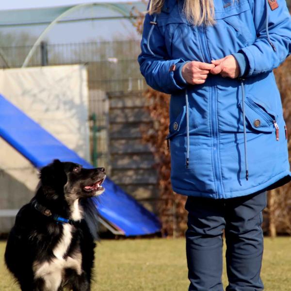 Heiner`s Alltagsbegleiter