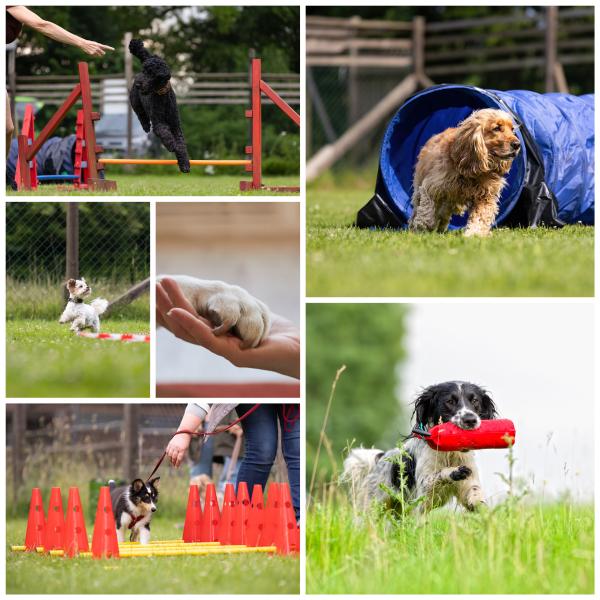 Aktiv Mix (Fr. 15.00h, ab 2026)