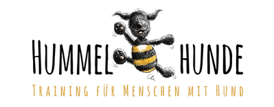 Training für Menschen mit Hund