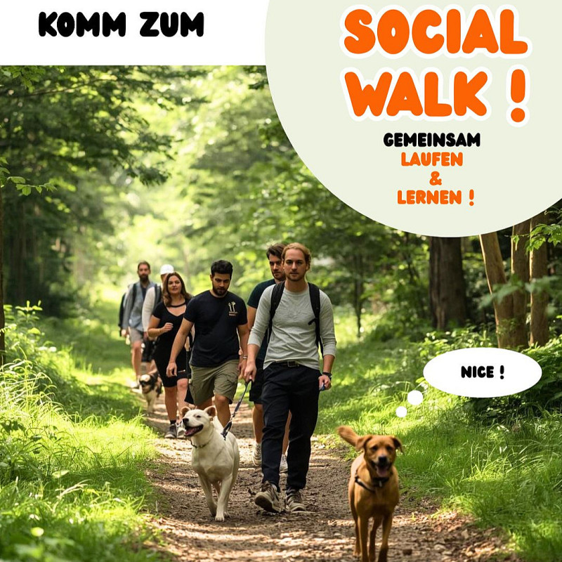 Social Walk