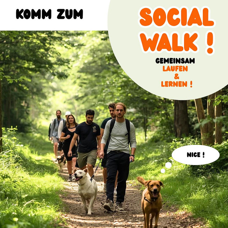 Social Walk