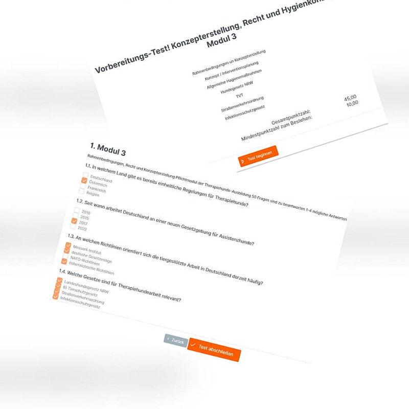 Vorbereitungs-Test Modul 4