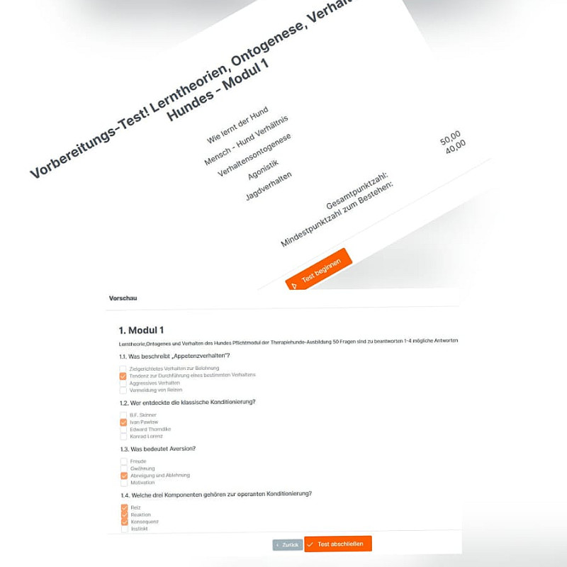 Vorbereitungs-Test Modul 1
