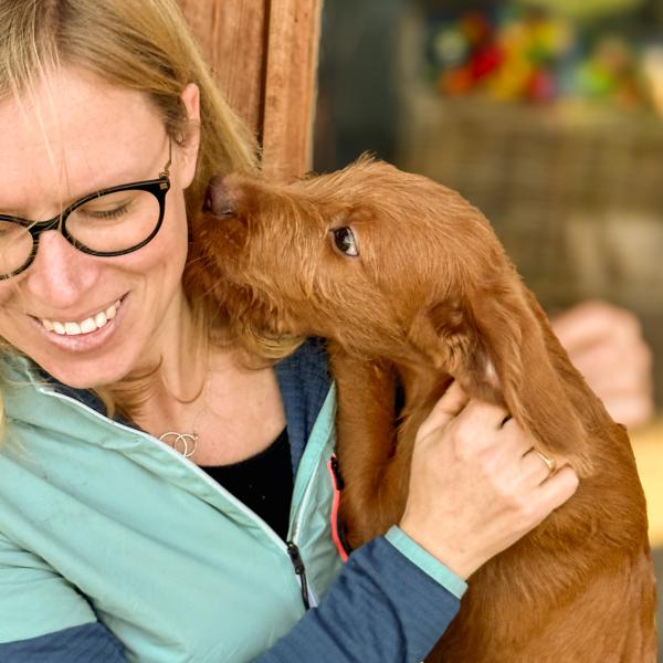 „Willkommen, Welpe! – Dein Familienstart-Infoabend mit Hund“