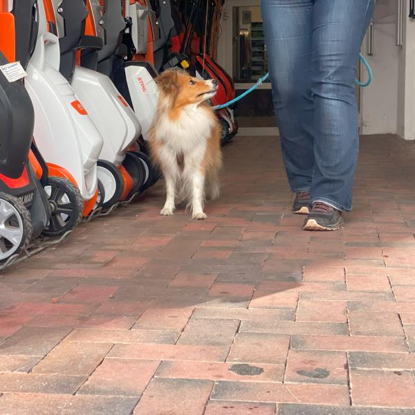 Stadttraining Bad Bevensen