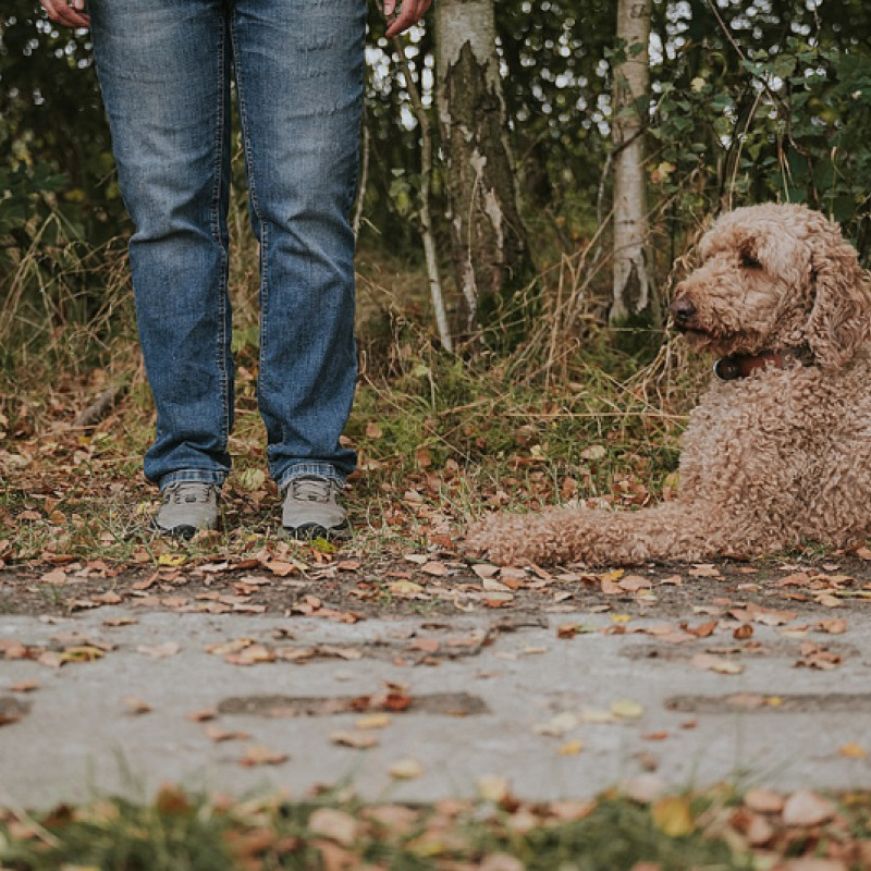 Aufbaukurs Grenzen und Freiräume
