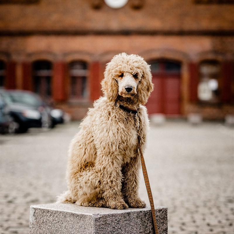 Intensivtraining Erziehung