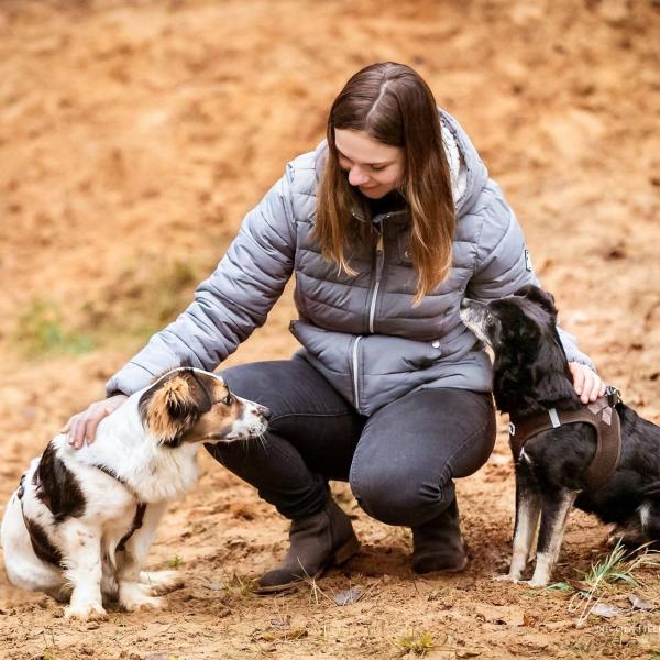 Offener Themenabend Online