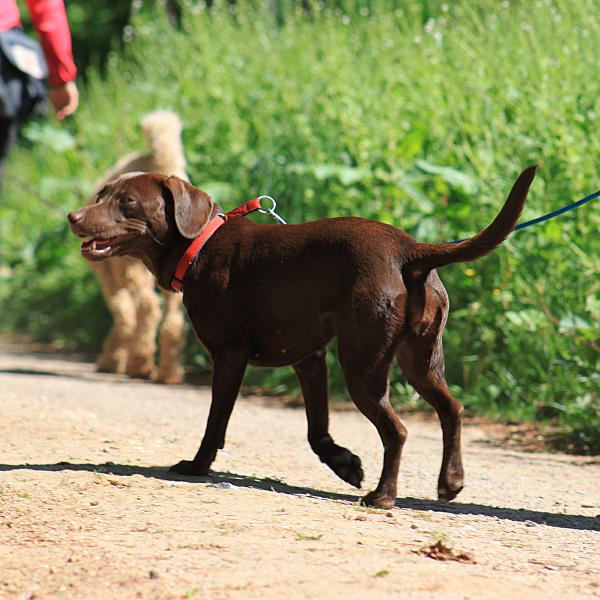 Begegnungstraining Lüneburg mit Janet