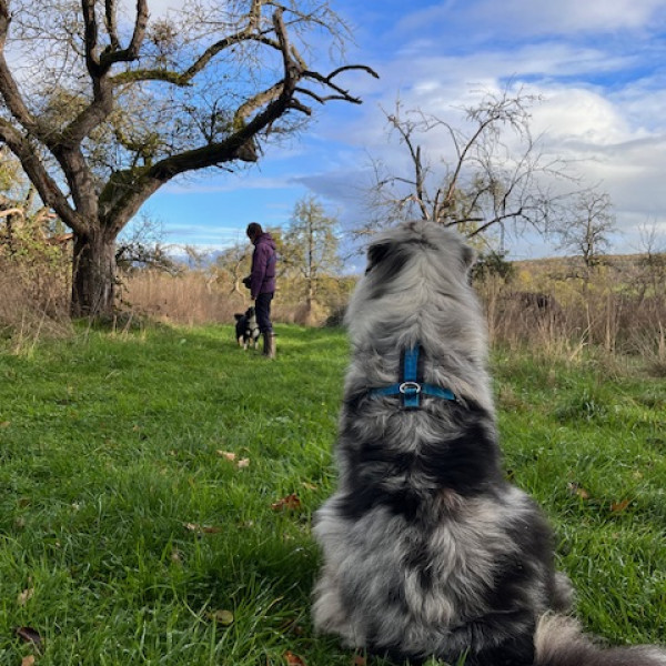"Social Walk" - 60 bis 90 Minuten