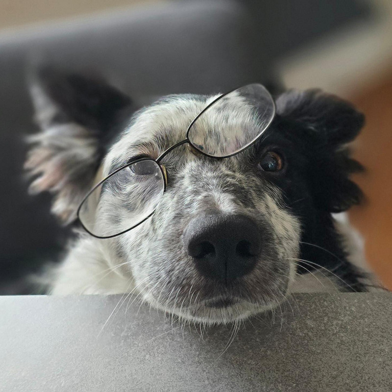TagesBeziehungsSeminar