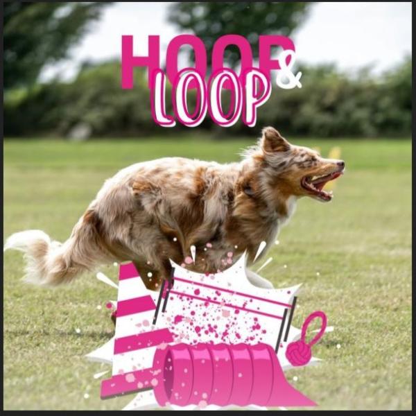 HOOP & LOOP