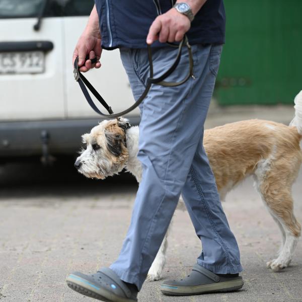 STARTERGRUPPE SAMSTAG 12 UHR